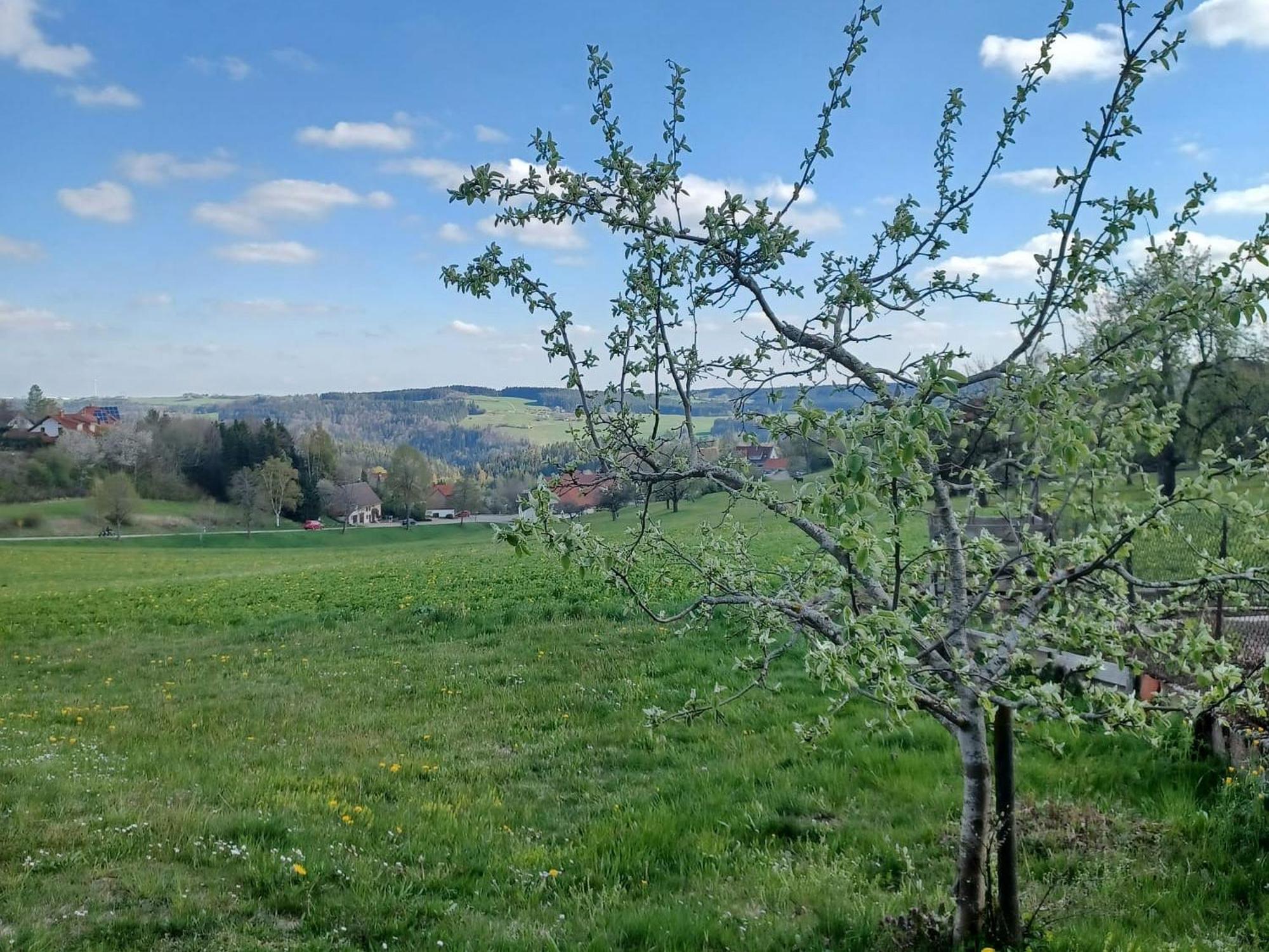 Landhaus Alpenpanorama Löffingen Eksteriør billede