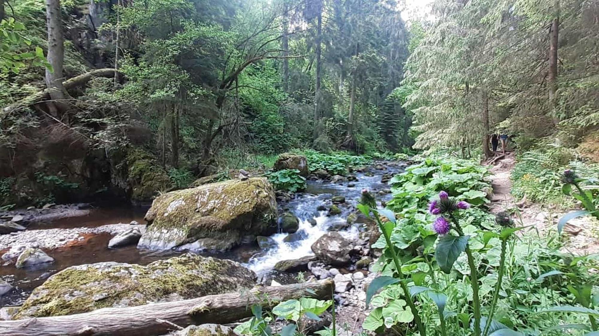Landhaus Alpenpanorama Löffingen Eksteriør billede